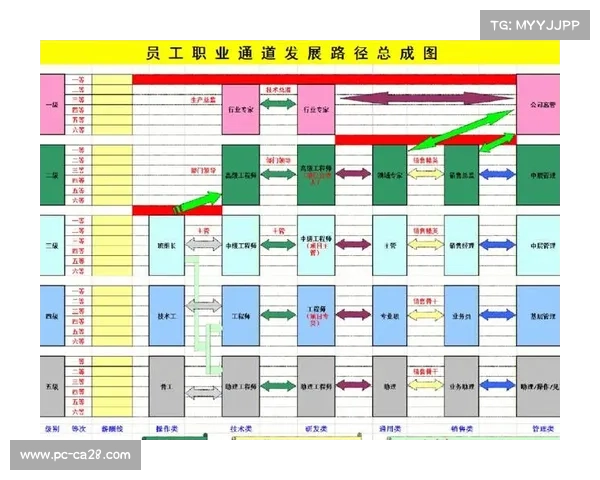 打造未来之星：从技能训练到职业生涯规划的全面发展路径