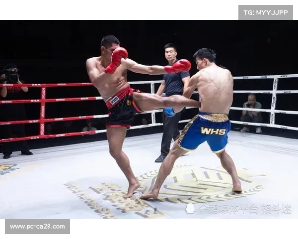 白大拿称赞副赛选手表现出色 新秀实力为赛事长远发展注入动力